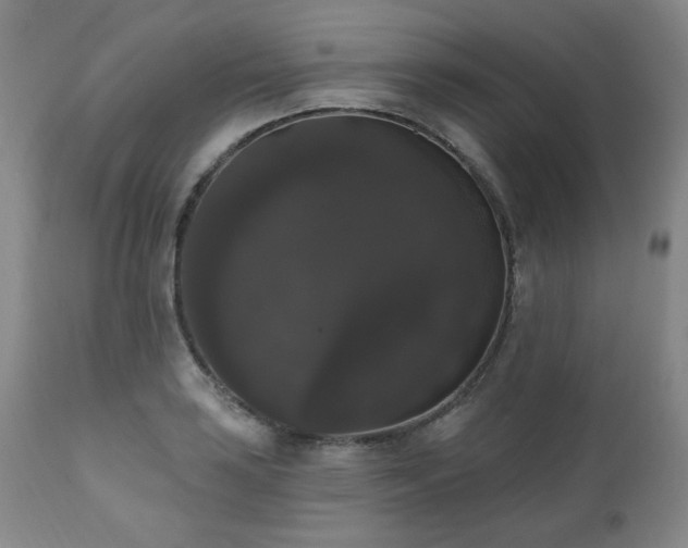 X0000111021035200906191647