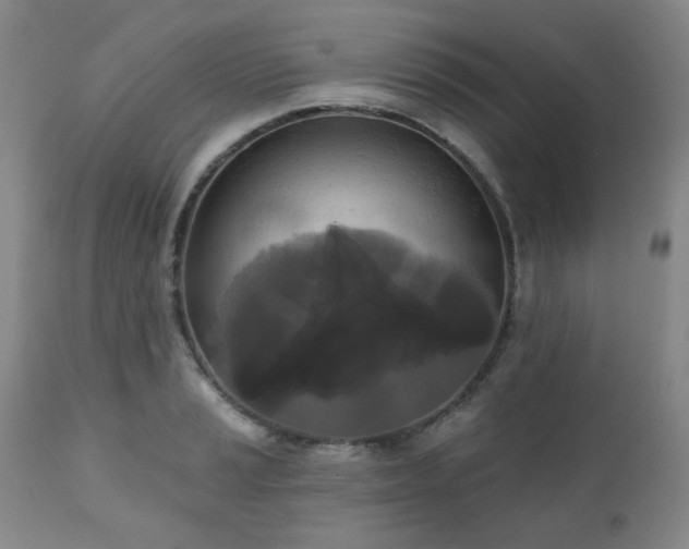 X0000111021037200906191647