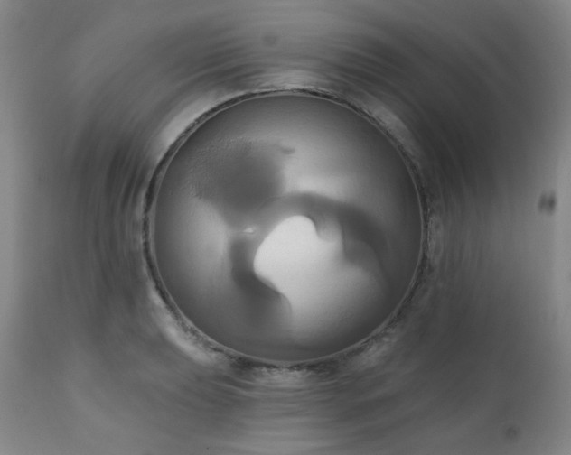 X0000111021039200906191647