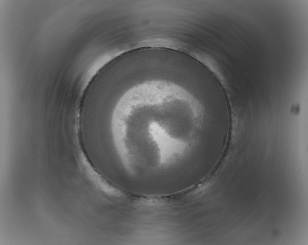 X0000111021040200906191647