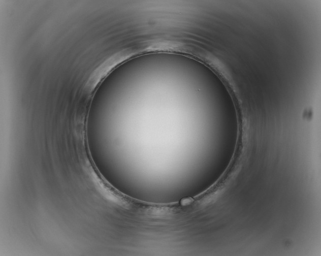 X0000111021041200906191647