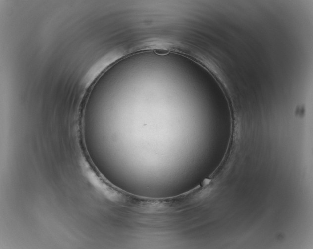 X0000111021042200906191647