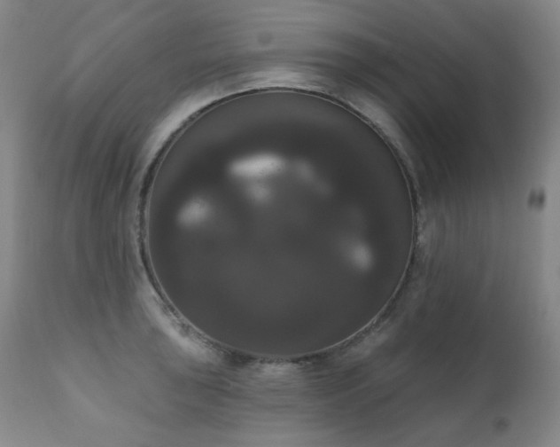 X0000111021043200906191647