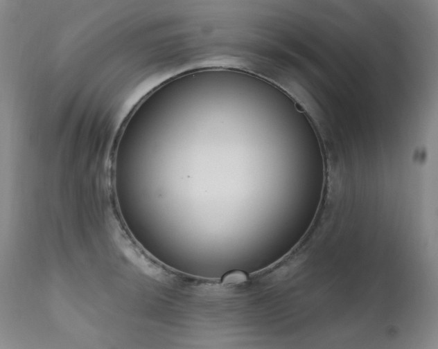 X0000111021044200906191647
