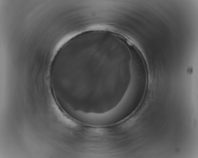 X0000111021045200906191647