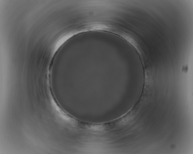 X0000111021047200906191647