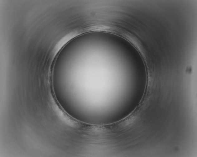 X0000111021050200906191648