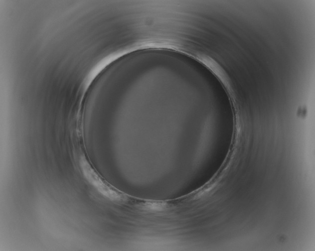 X0000111021052200906191648