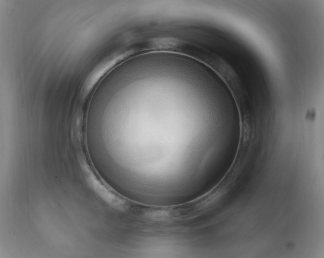 X0000111021054200906191648