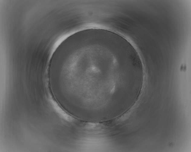 X0000111021056200906191648