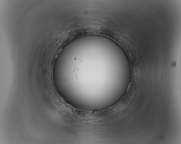 X0000111021057200906191647