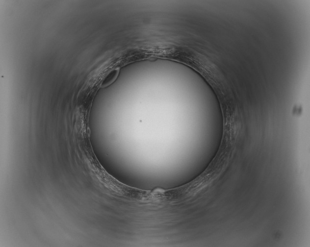 X0000111021058200906191647