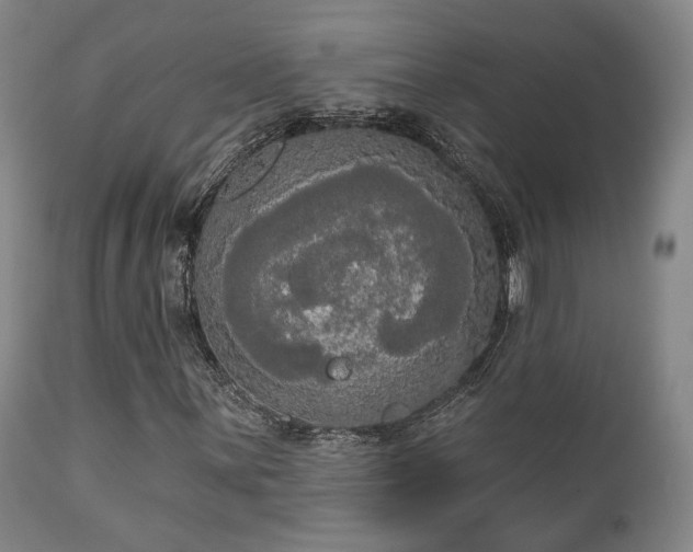 X0000111021059200906191647