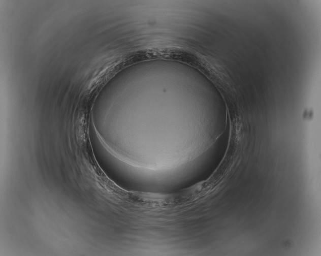 X0000111021060200906191647