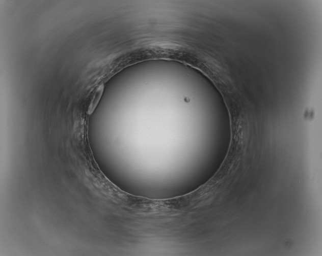X0000111021061200906191647