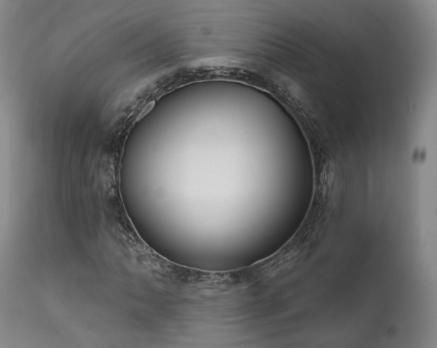 X0000111021062200906191647