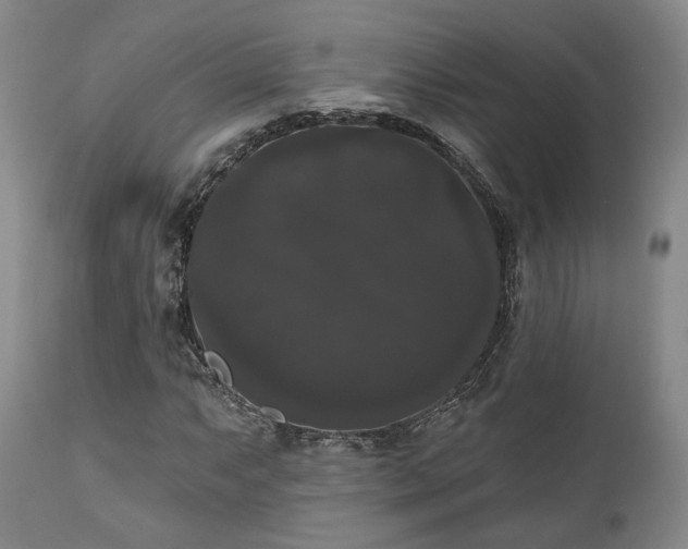 X0000111021063200906191647
