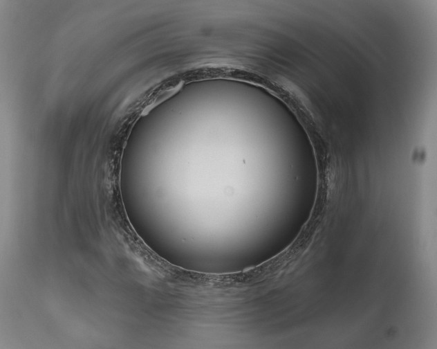 X0000111021064200906191647