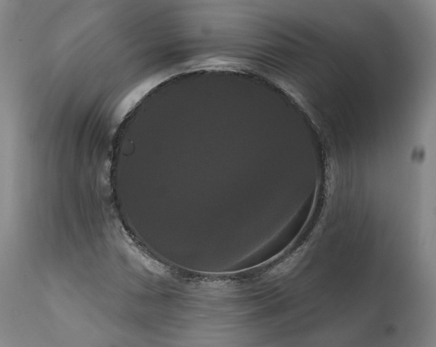 X0000111021066200906191647