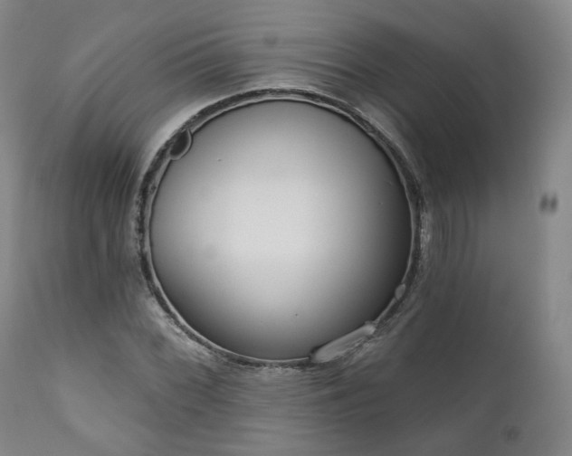 X0000111021068200906191647