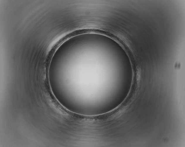 X0000111021069200906191647