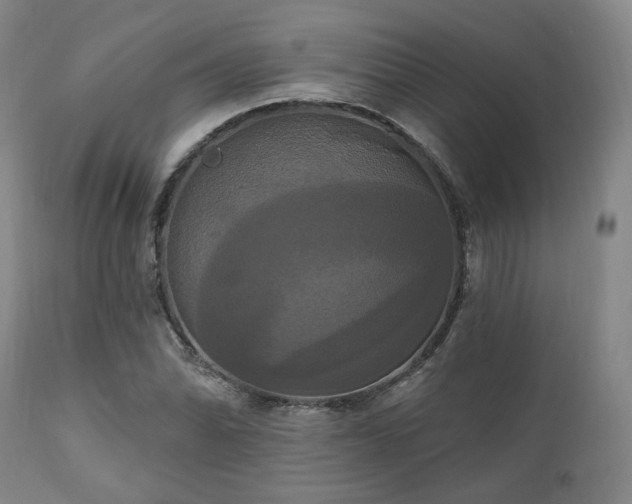 X0000111021070200906191647