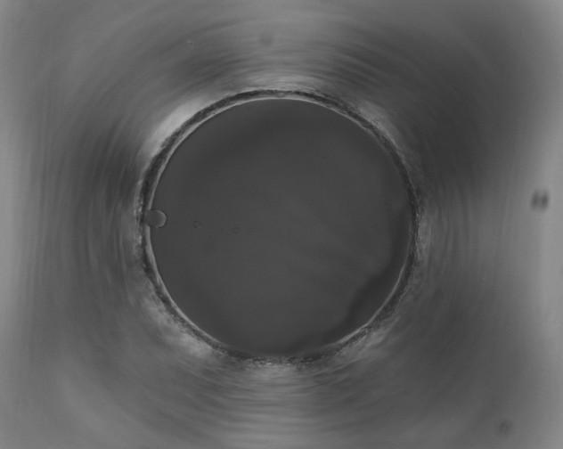 X0000111021071200906191647
