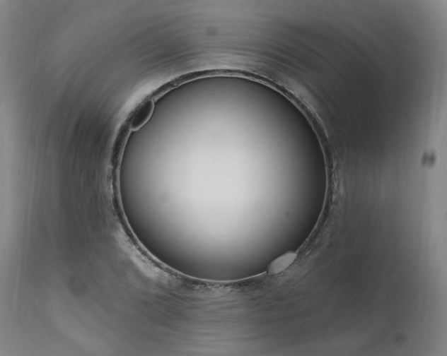 X0000111021072200906191647