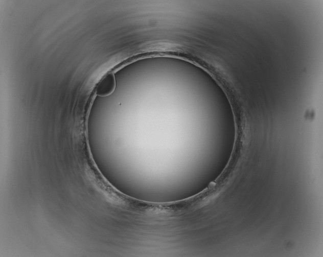 X0000111021073200906191647