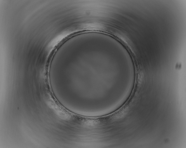 X0000111021074200906191647