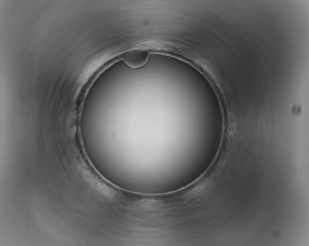 X0000111021075200906191647