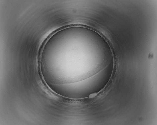 X0000111021076200906191647