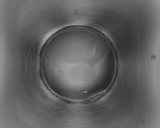 X0000111021077200906191647