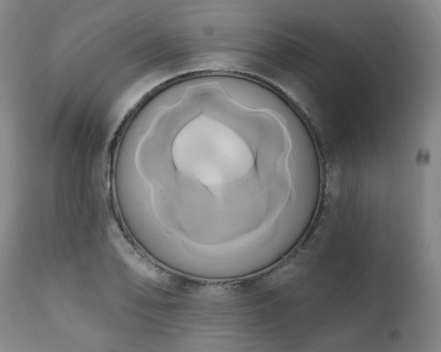 X0000111021078200906191646