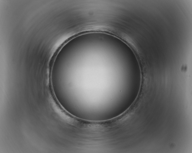 X0000111021079200906191646