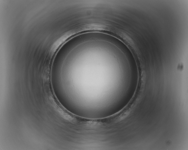 X0000111021081200906191646