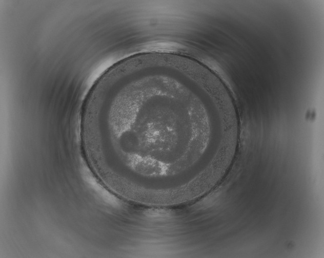 X0000111021083200906191646