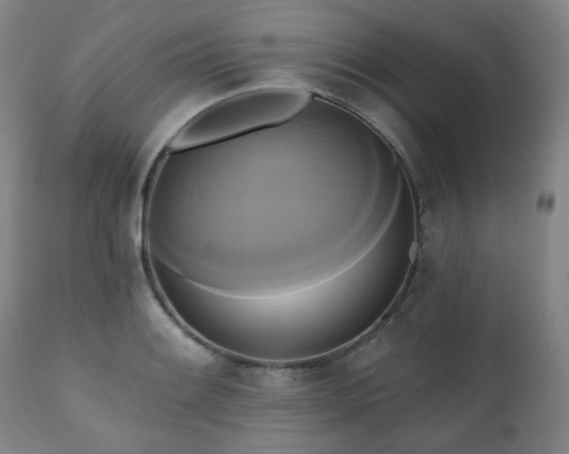X0000111021084200906191646