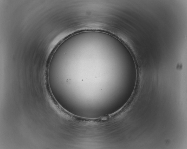 X0000111021085200906191646
