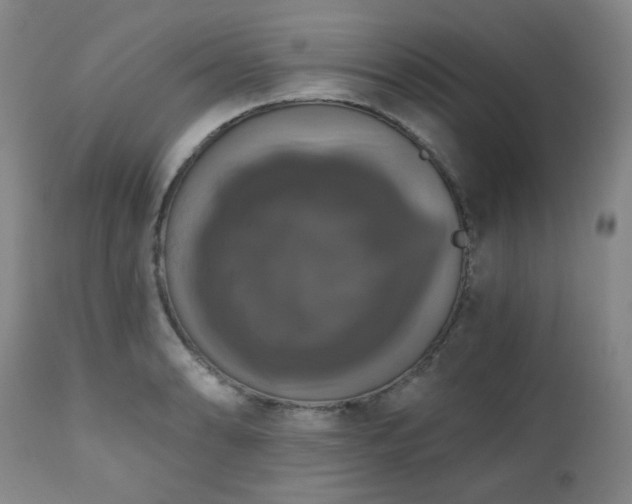 X0000111021086200906191646