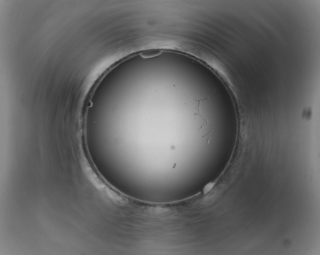 X0000111021088200906191646
