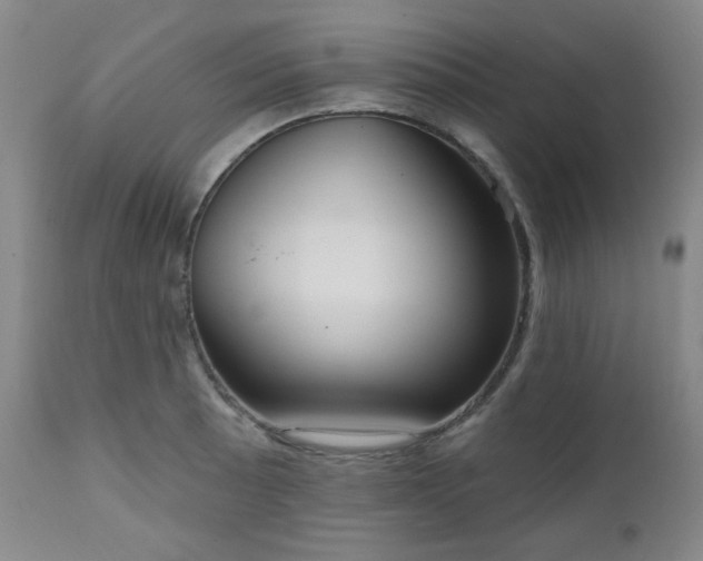 X0000111021089200906191646