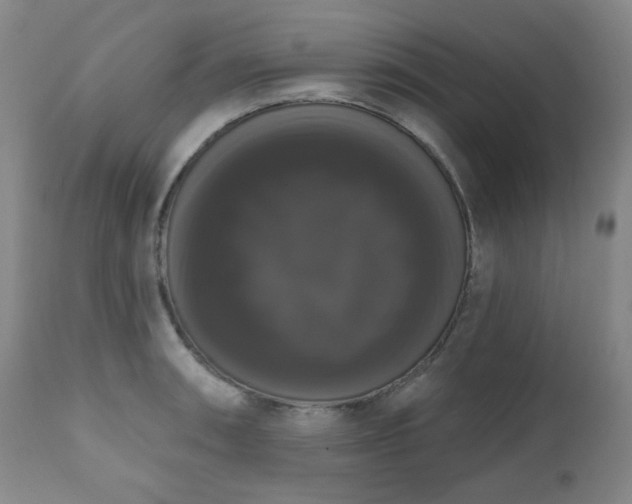X0000111021090200906191646