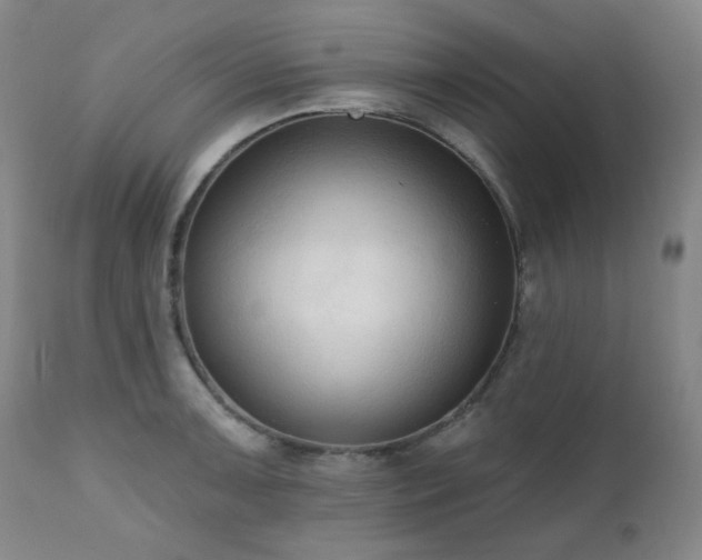 X0000111021091200906191646