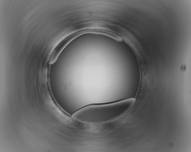X0000111021092200906191646