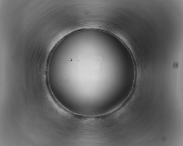 X0000111021093200906191646