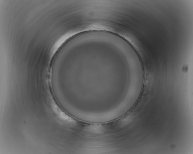 X0000111021094200906191646