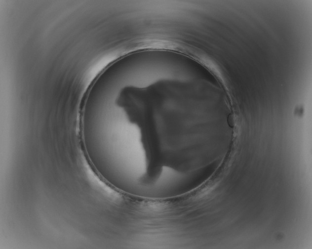 X0000111021095200906191646