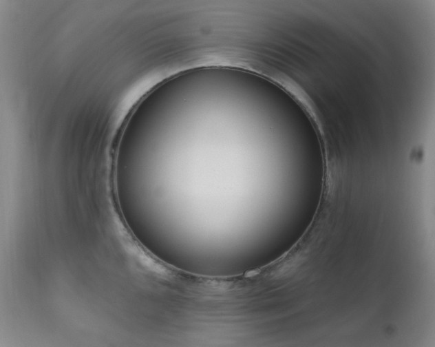 X0000111021096200906191646