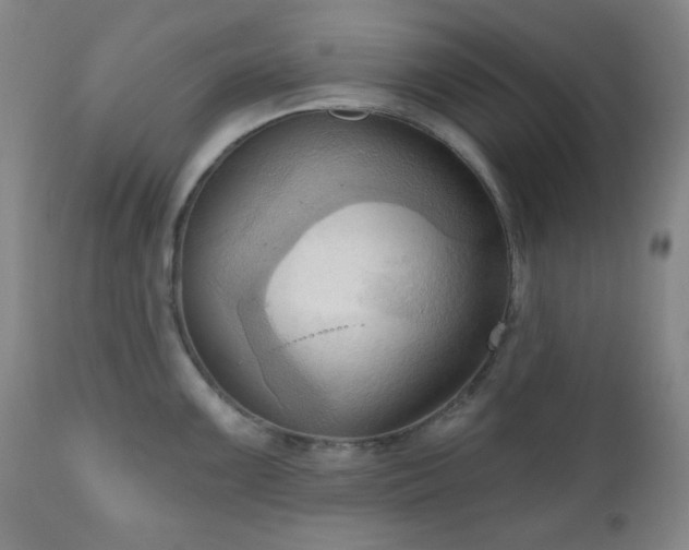 X0000111021099200906191646